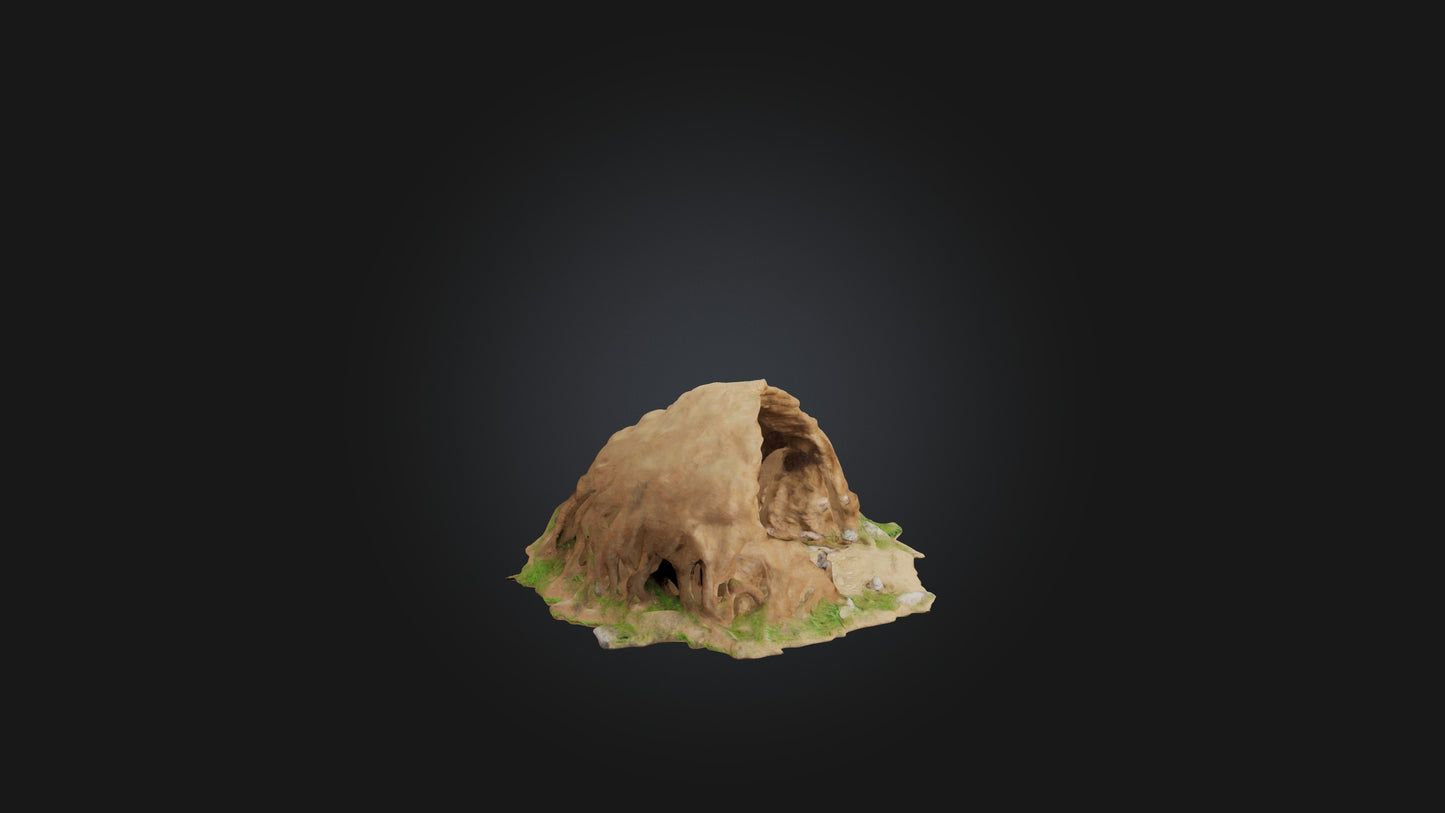 3D model Animal Burrow Model VR / AR / low-poly