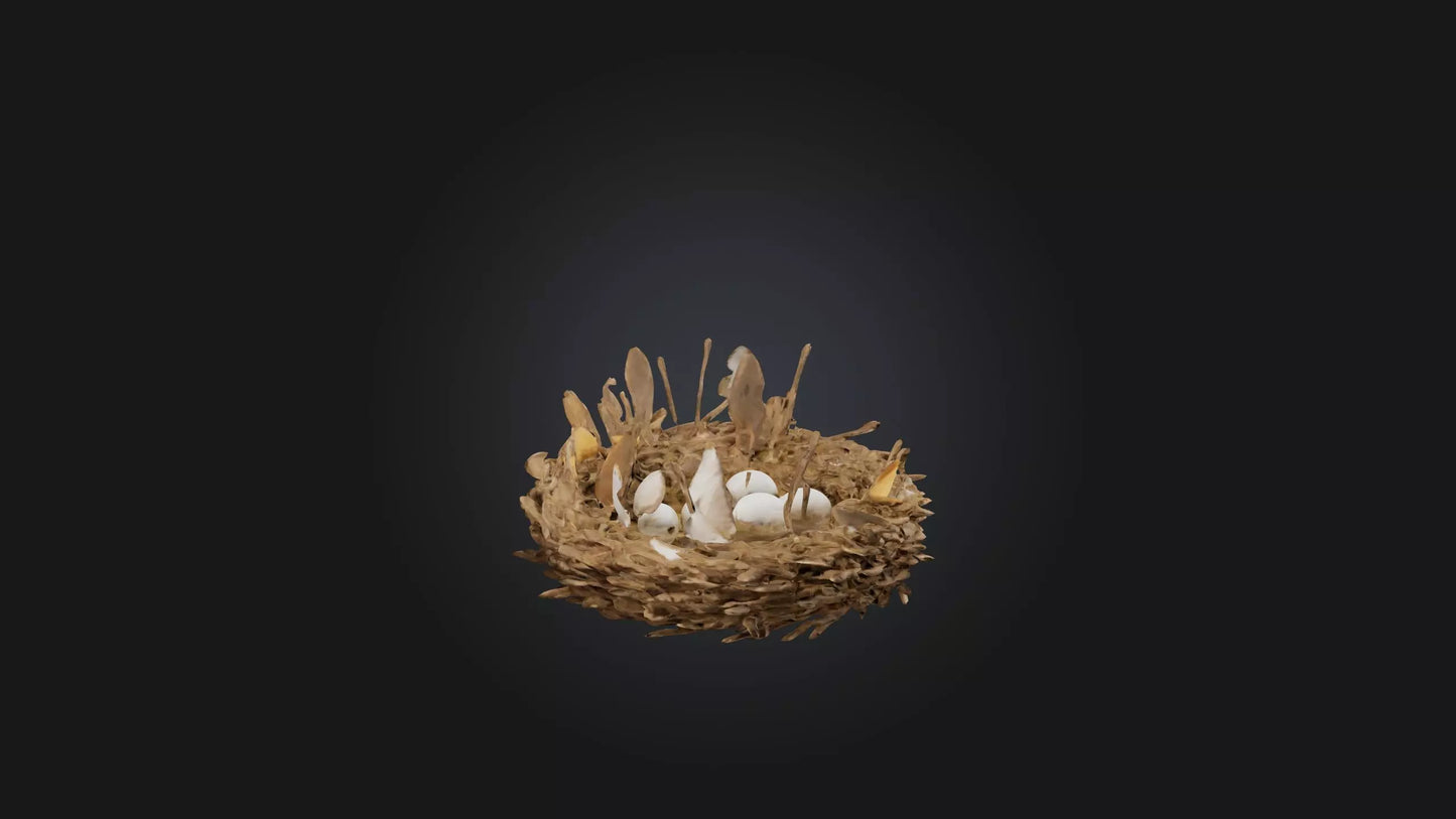 3D model Animal Nest Model VR / AR / low-poly