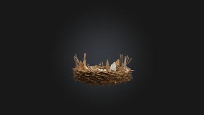 3D model Animal Nest Model VR / AR / low-poly