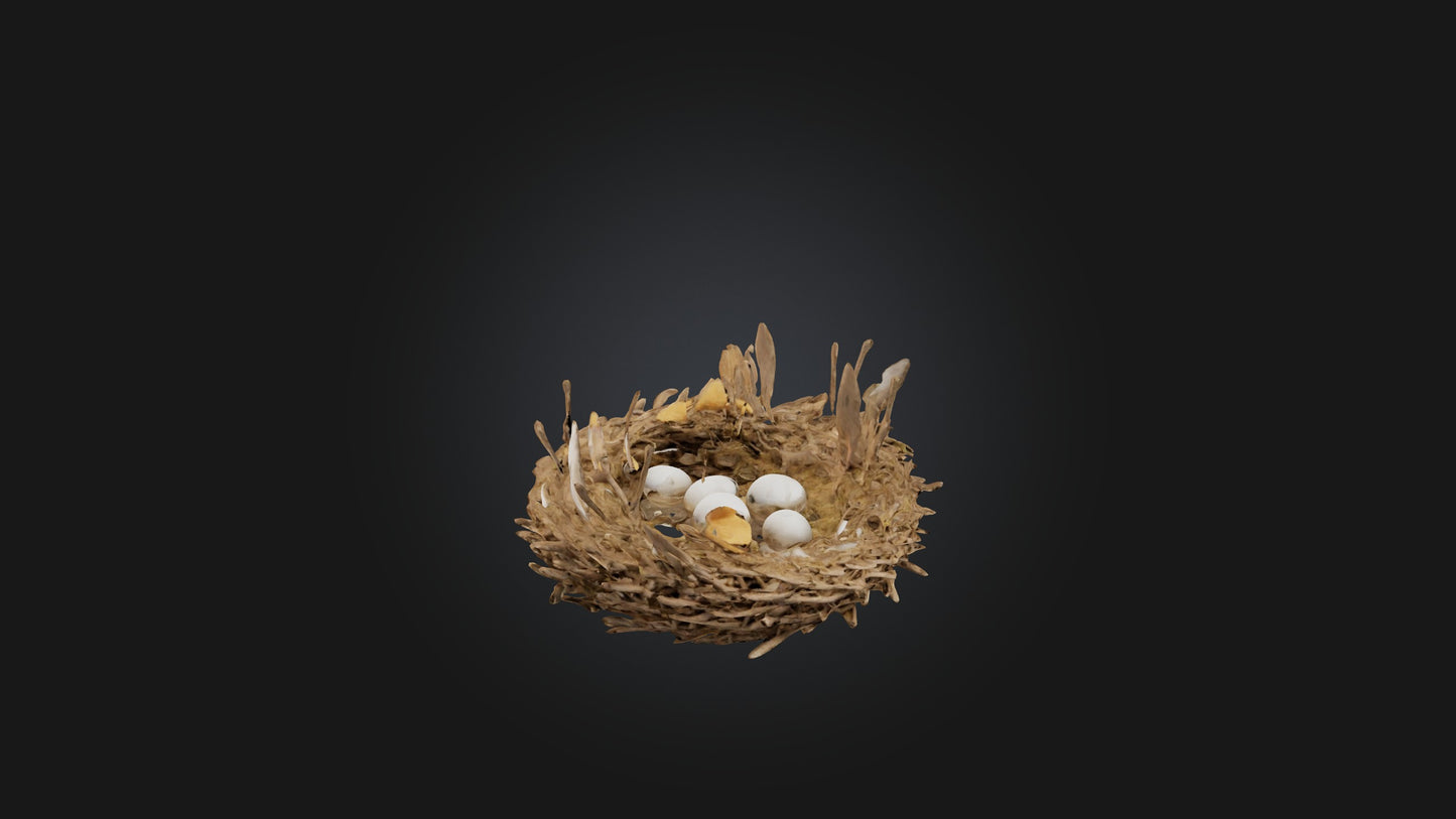 3D model Animal Nest Model VR / AR / low-poly