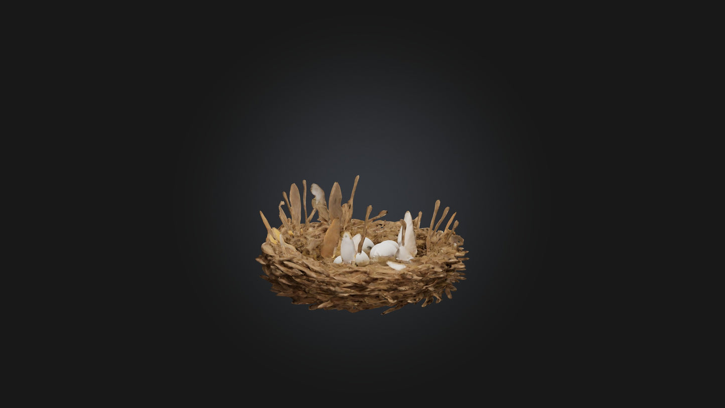 3D model Animal Nest Model VR / AR / low-poly