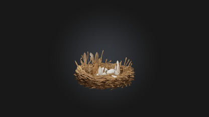 3D model Animal Nest Model VR / AR / low-poly