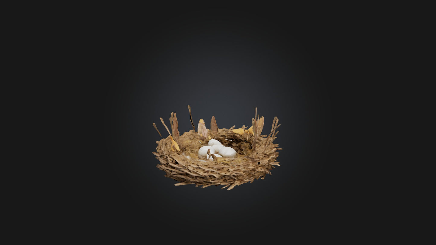 3D model Animal Nest Model VR / AR / low-poly