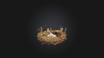 3D model Animal Nest Model VR / AR / low-poly
