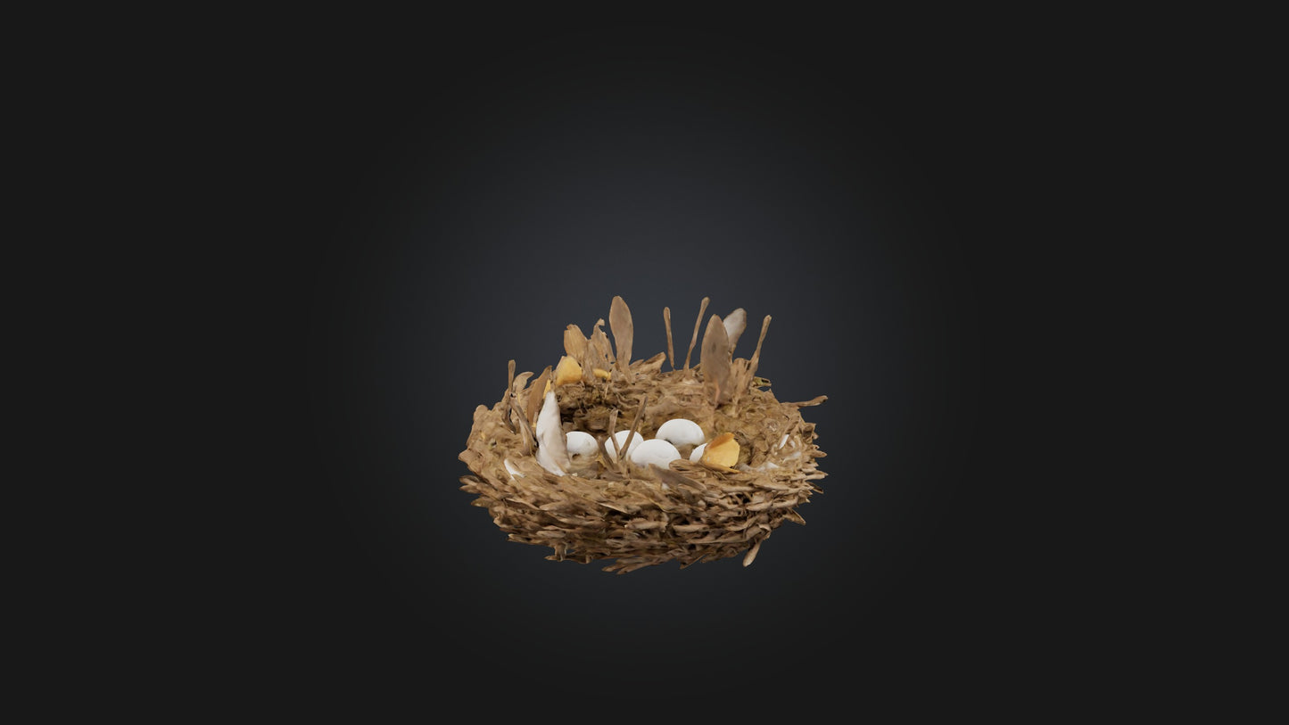 3D model Animal Nest Model VR / AR / low-poly