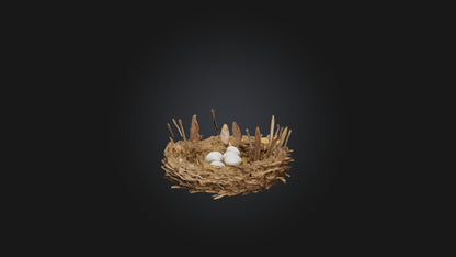 3D model Animal Nest Model VR / AR / low-poly