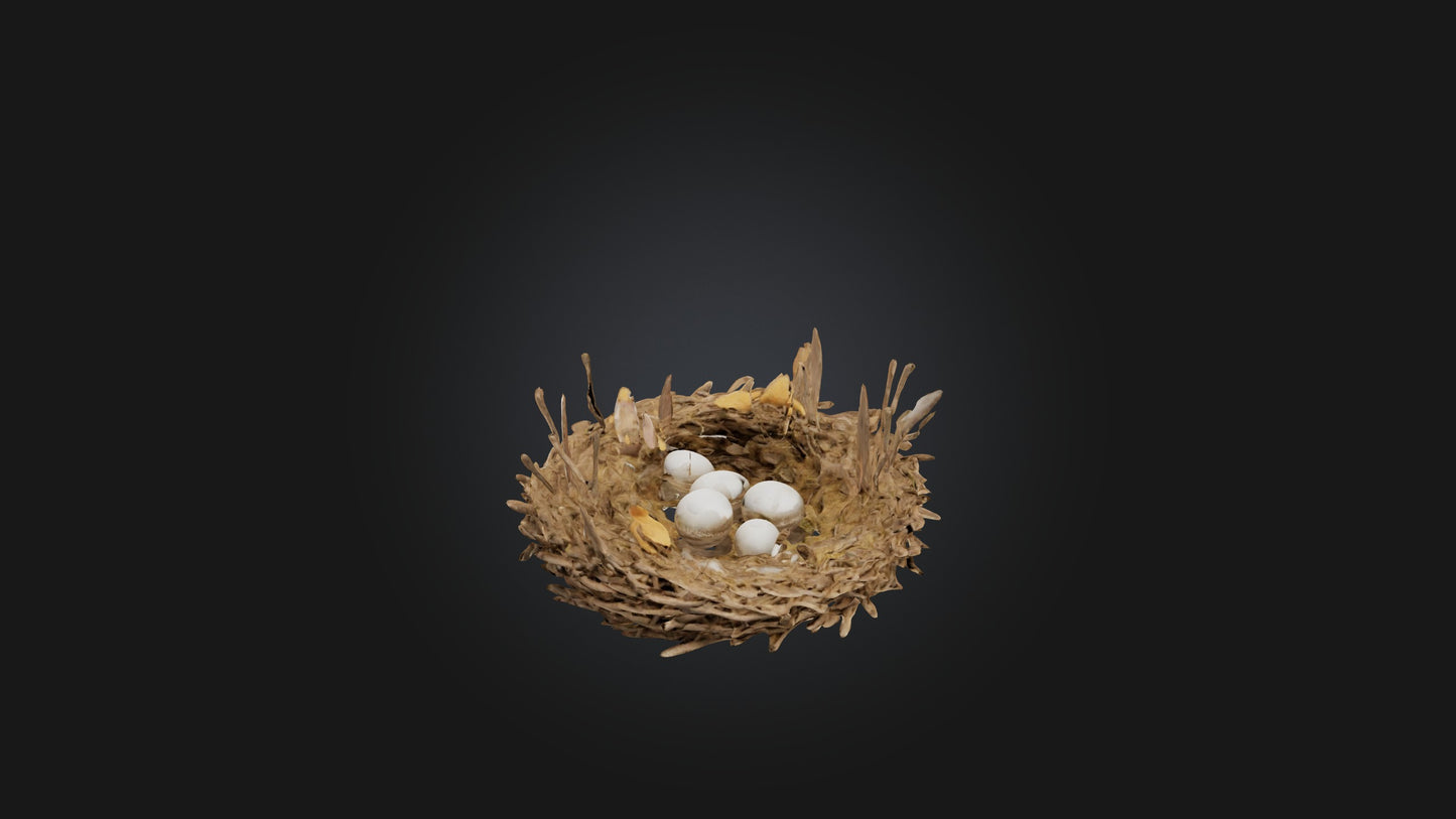3D model Animal Nest Model VR / AR / low-poly