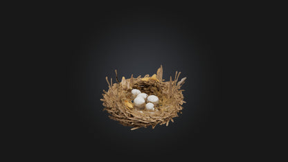 3D model Animal Nest Model VR / AR / low-poly