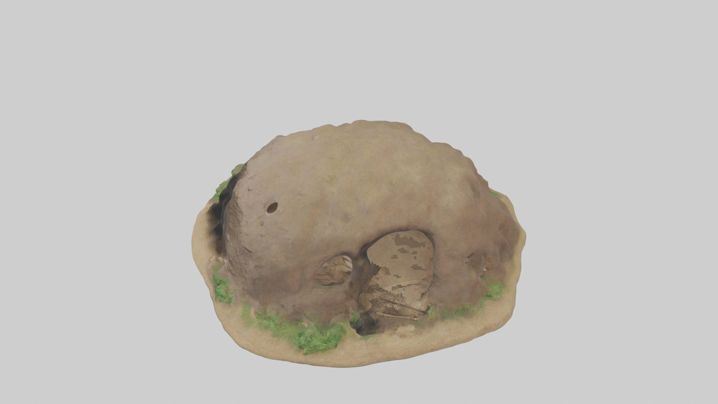 3D model Animalburrow Model 1 VR / AR / low-poly