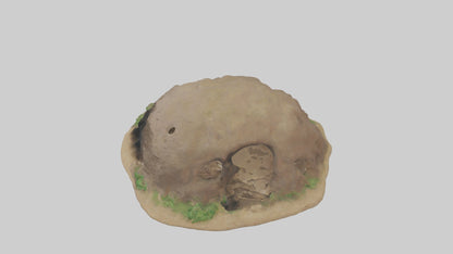 3D model Animalburrow Model 1 VR / AR / low-poly