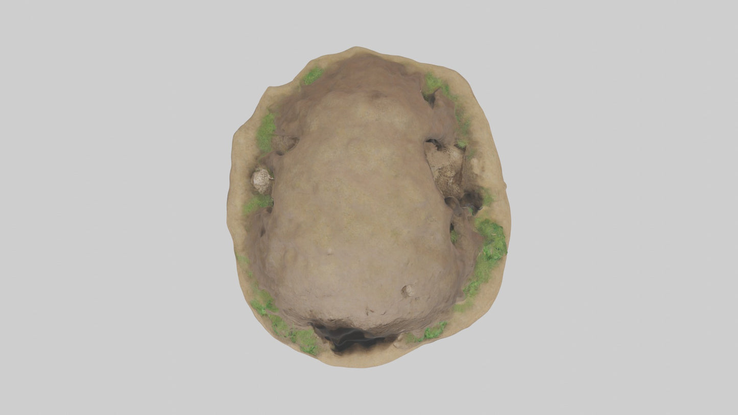 3D model Animalburrow Model 1 VR / AR / low-poly