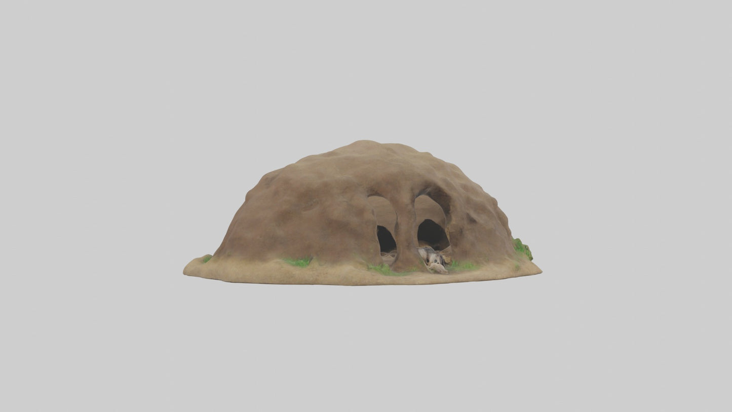 3D model Animalburrow Model 1 VR / AR / low-poly