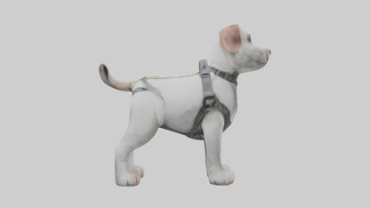3D model Animalharness Model 1 VR / AR / low-poly