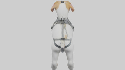 3D model Animalharness Model 1 VR / AR / low-poly