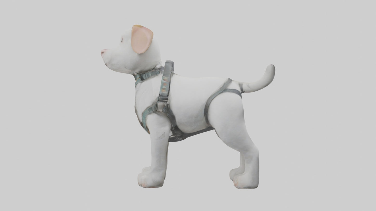 3D model Animalharness Model 1 VR / AR / low-poly
