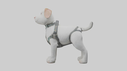 3D model Animalharness Model 1 VR / AR / low-poly