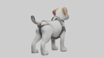 3D model Animalharness Model 1 VR / AR / low-poly