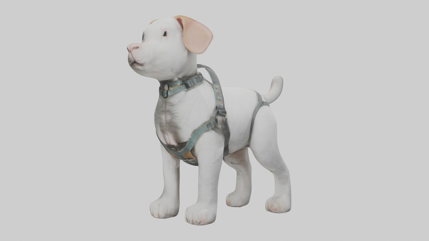 3D model Animalharness Model 1 VR / AR / low-poly