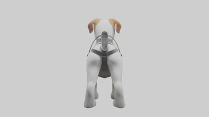 3D model Animalharness Model 1 VR / AR / low-poly