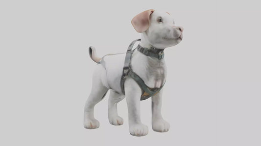 3D model Animalharness Model 1 VR / AR / low-poly