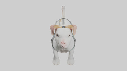 3D model Animalharness Model 1 VR / AR / low-poly