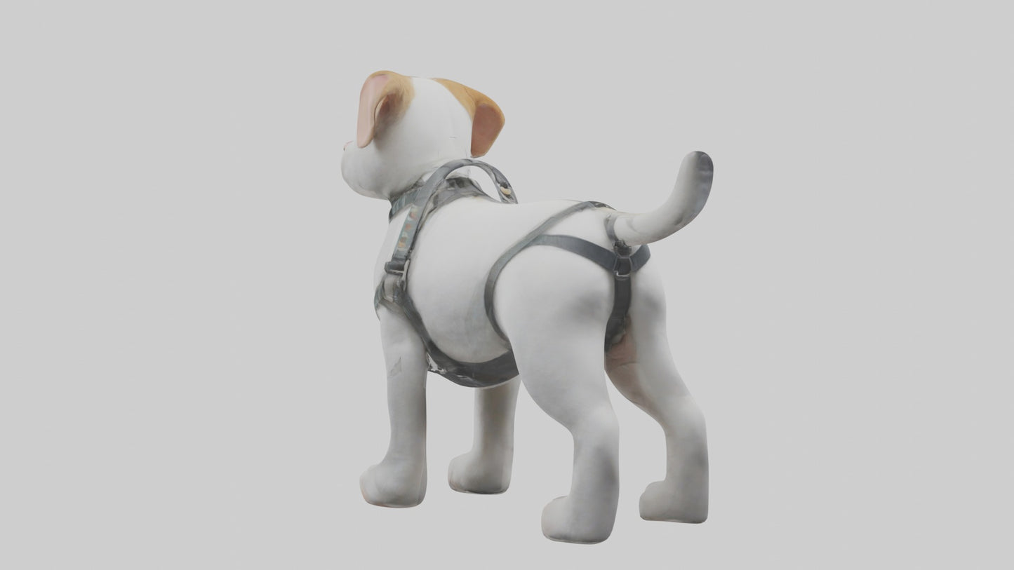 3D model Animalharness Model 1 VR / AR / low-poly