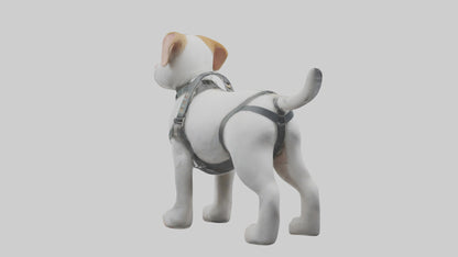 3D model Animalharness Model 1 VR / AR / low-poly