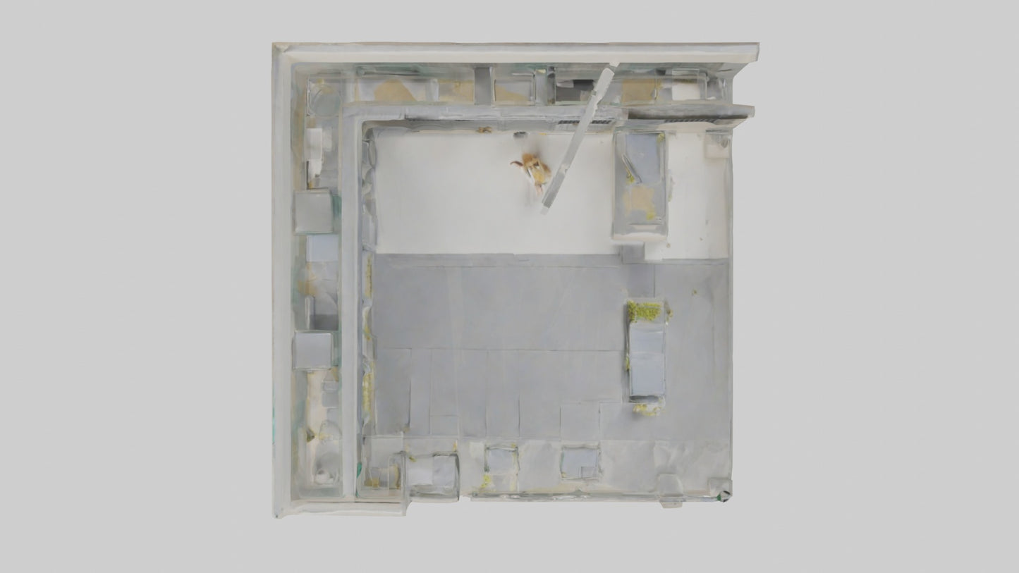 3D model Animalshelter Model 1 VR / AR / low-poly