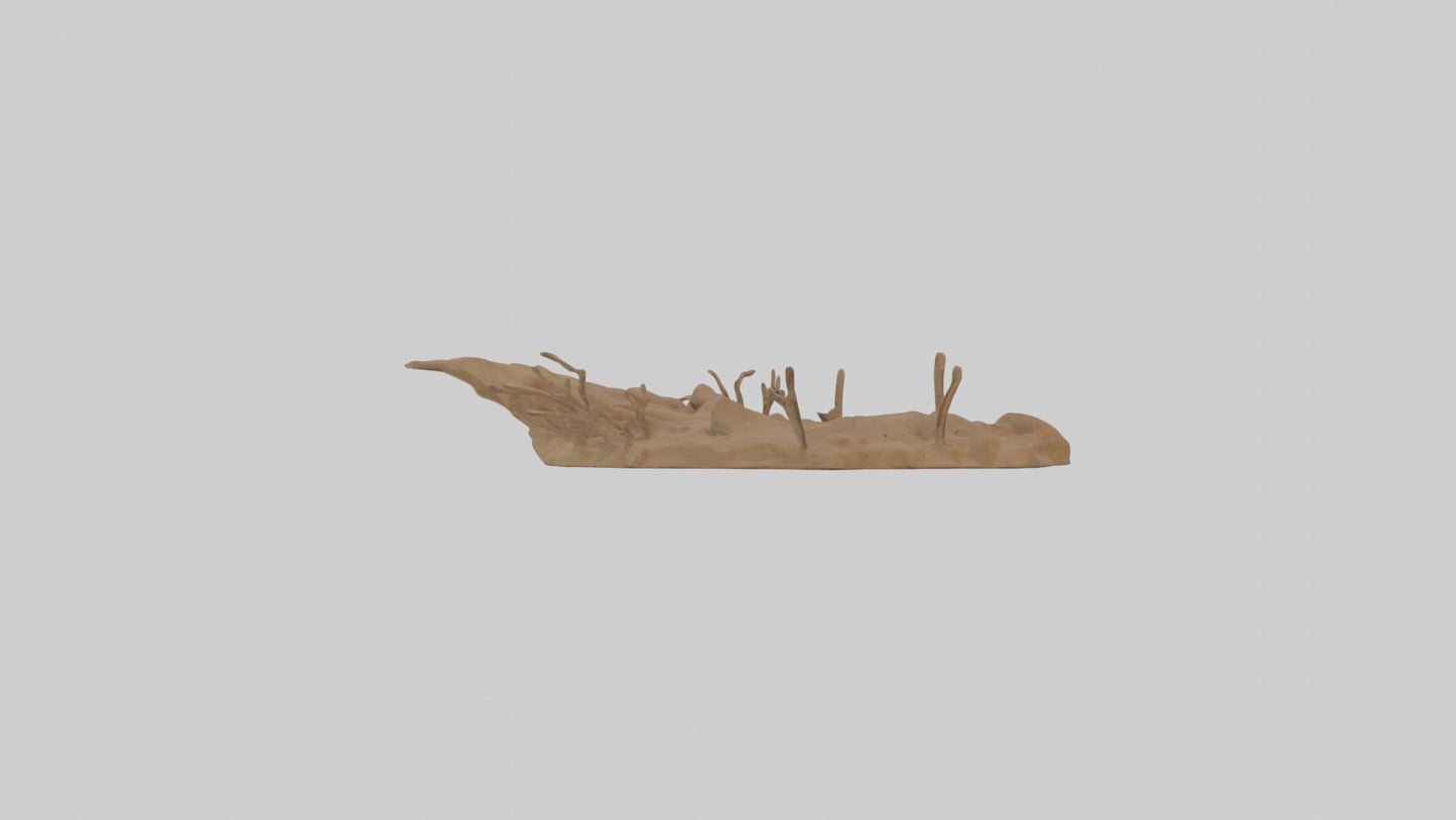 3D model Animaltrack Model 1 VR / AR / low-poly