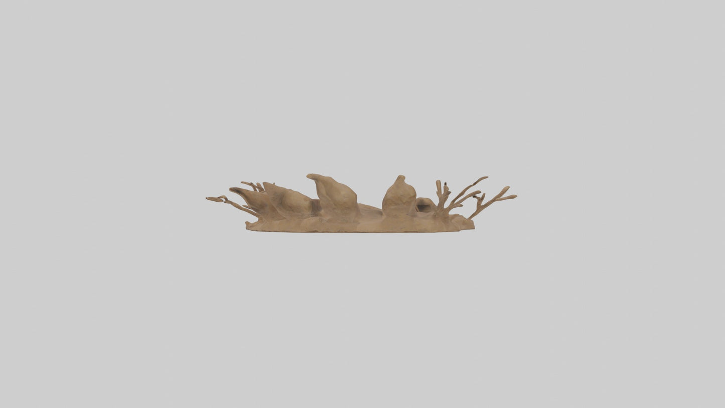3D model Animaltrack Model 1 VR / AR / low-poly