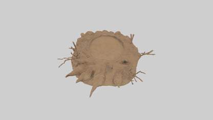 3D model Animaltrack Model 1 VR / AR / low-poly