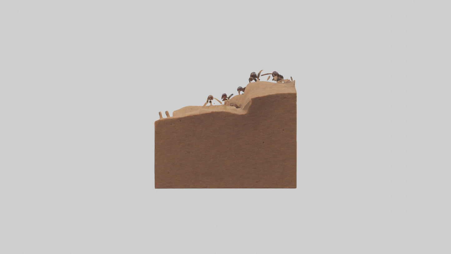 3D model Anthill Model 1 VR / AR / low-poly