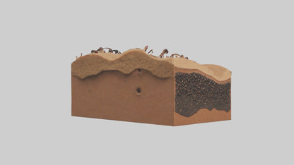 3D model Anthill Model 1 VR / AR / low-poly