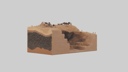 3D model Anthill Model 1 VR / AR / low-poly