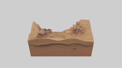 3D model Anthill Model 1 VR / AR / low-poly