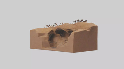 3D model Anthill Model 1 VR / AR / low-poly