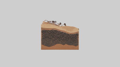 3D model Anthill Model 1 VR / AR / low-poly