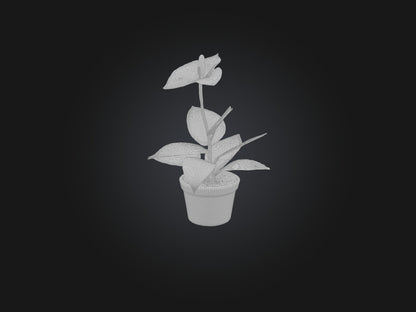 3D model Anthurium Model VR / AR / low-poly