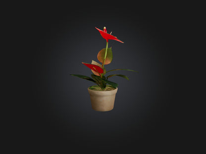 3D model Anthurium Model VR / AR / low-poly