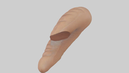 3D model Appendix Model 1 VR / AR / low-poly