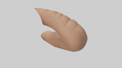 3D model Appendix Model 1 VR / AR / low-poly