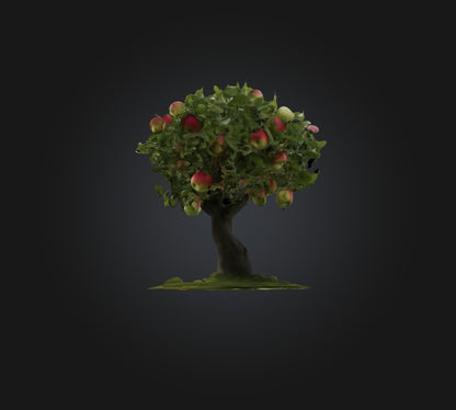 3D model Apple Tree 2 VR / AR / low-poly