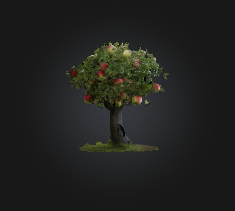 3D model Apple Tree 2 VR / AR / low-poly