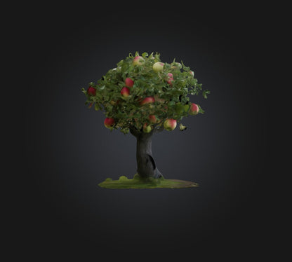 3D model Apple Tree 2 VR / AR / low-poly