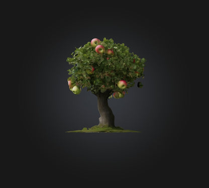 3D model Apple Tree 2 VR / AR / low-poly