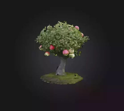 3D model Apple Tree 2 VR / AR / low-poly