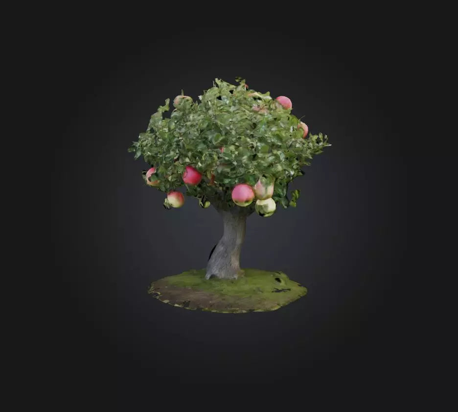 3D model Apple Tree 2 VR / AR / low-poly