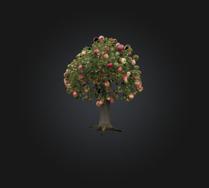 3D model Apple Tree VR / AR / low-poly