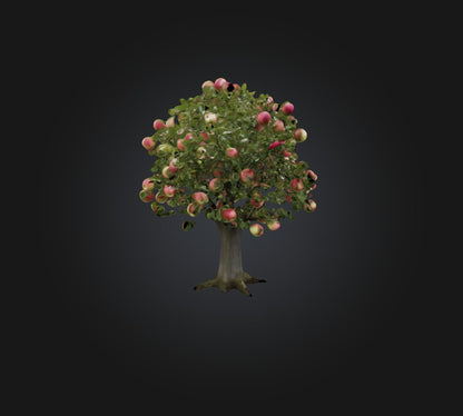 3D model Apple Tree VR / AR / low-poly
