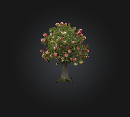 3D model Apple Tree VR / AR / low-poly